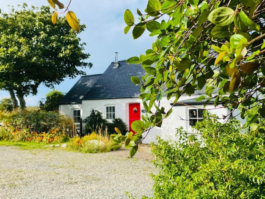 The Dairy @ Trefechan Wen Goodwick Exteriör bild