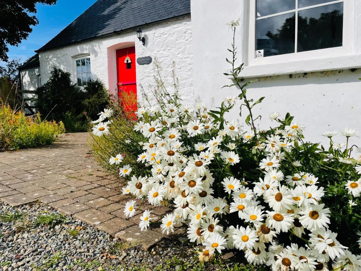 The Dairy @ Trefechan Wen Goodwick Exteriör bild